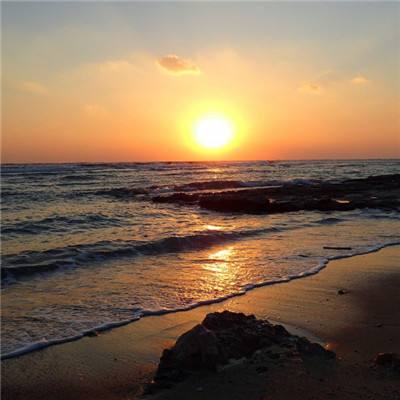 ManBetX网页版登录截图