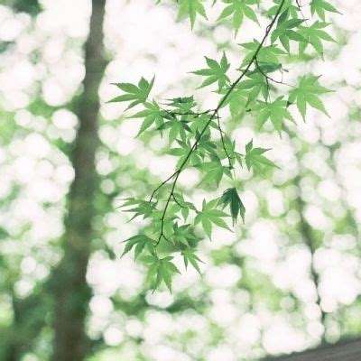 半岛网页版入口官网