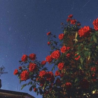 开运app官方登录入口