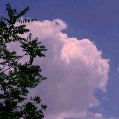 爱游戏(AYX)下载手机版