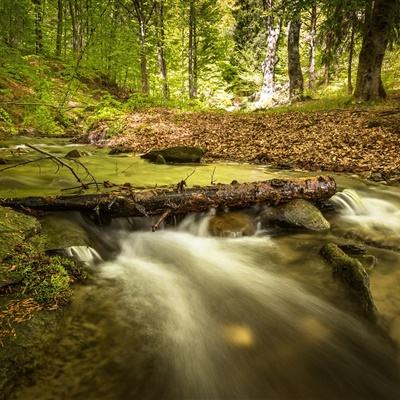 pg麻将胡了下载手机app下载