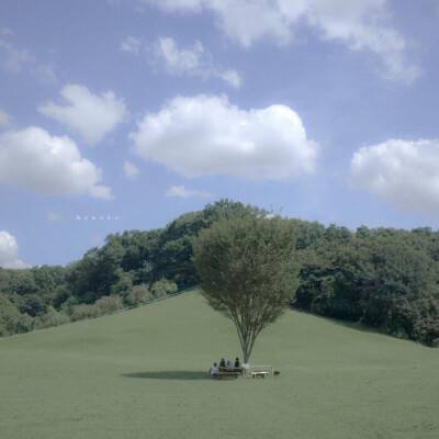 极速飞艇计划手机app下载